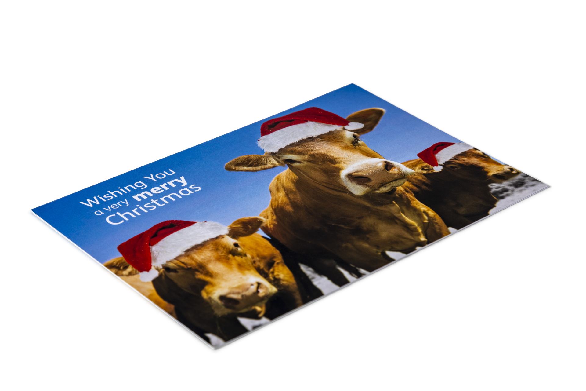 Severn Edge Vets Bridgnorth Christmas Cards